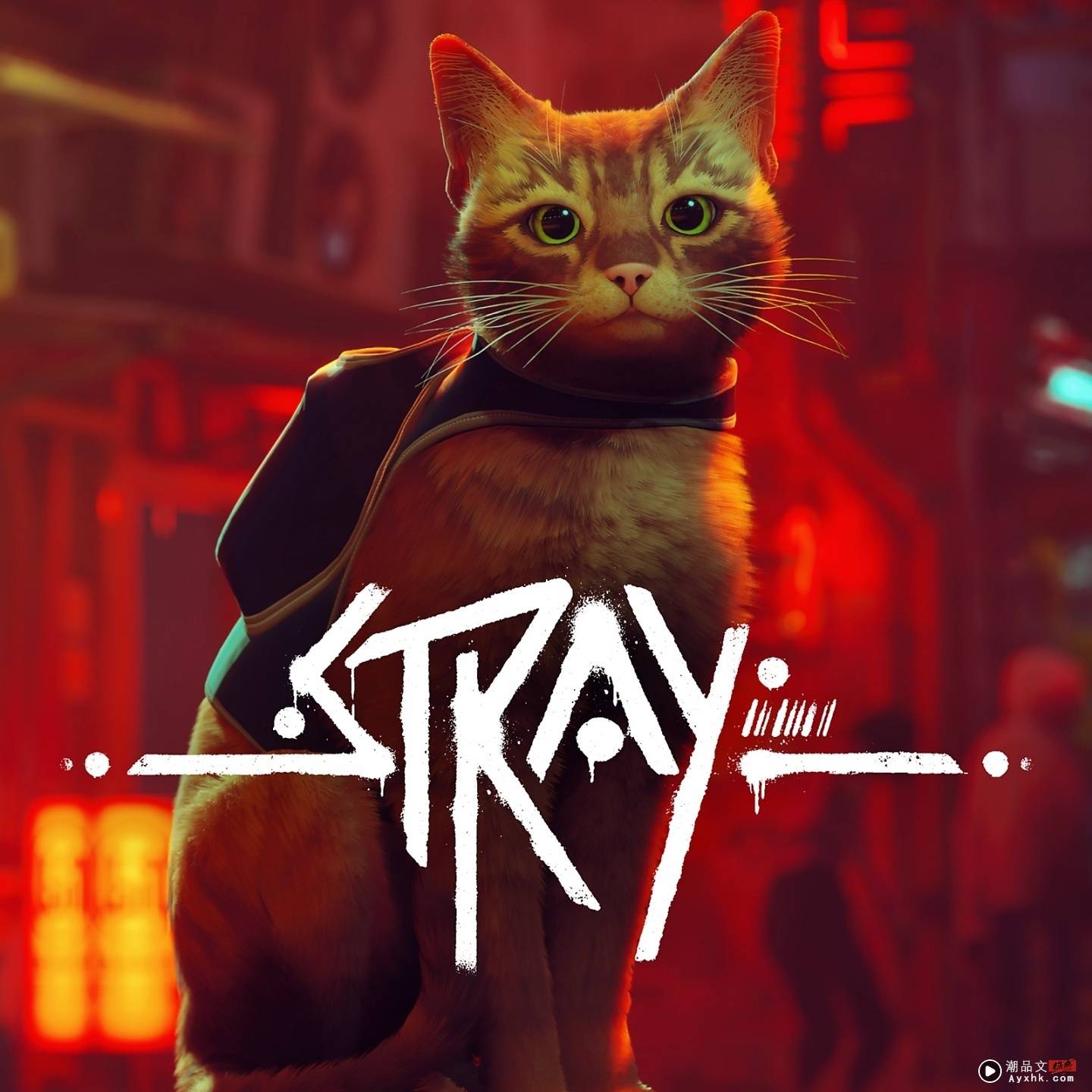 Metacritic 84 分好评！《Stray》浪猫模拟游戏爆红原因整理 数码科技 图3张